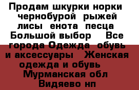 Продам шкурки норки, чернобурой, рыжей лисы, енота, песца. Большой выбор. - Все города Одежда, обувь и аксессуары » Женская одежда и обувь   . Мурманская обл.,Видяево нп